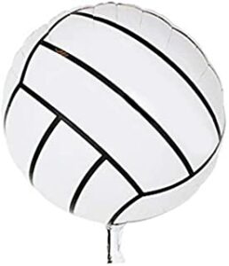 Volley Ball